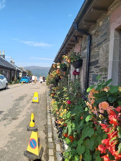 Luss Village Street Flowers