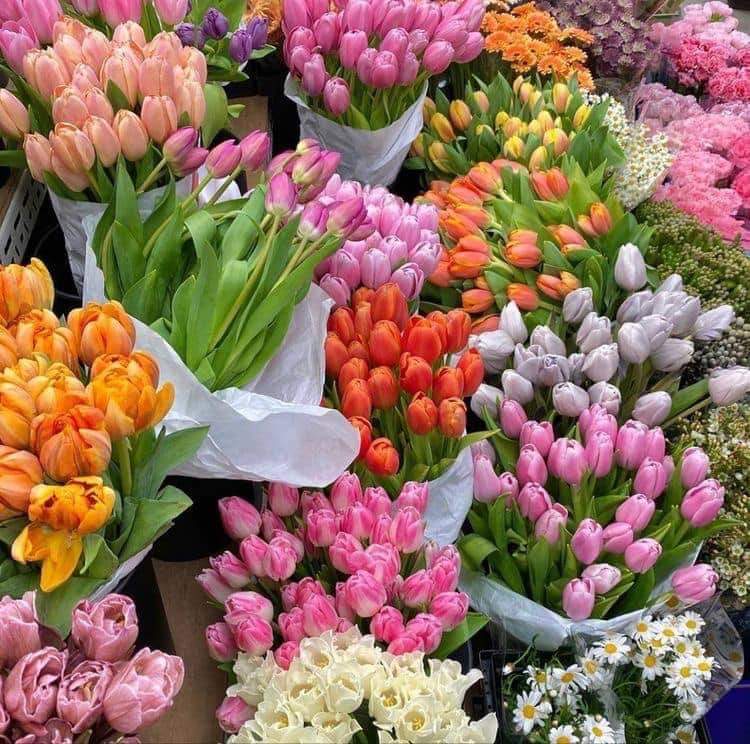 Colorful Tulip Market Display