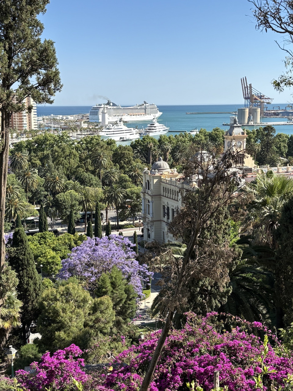 Málaga port with cruise ship and vibrant purple flowers