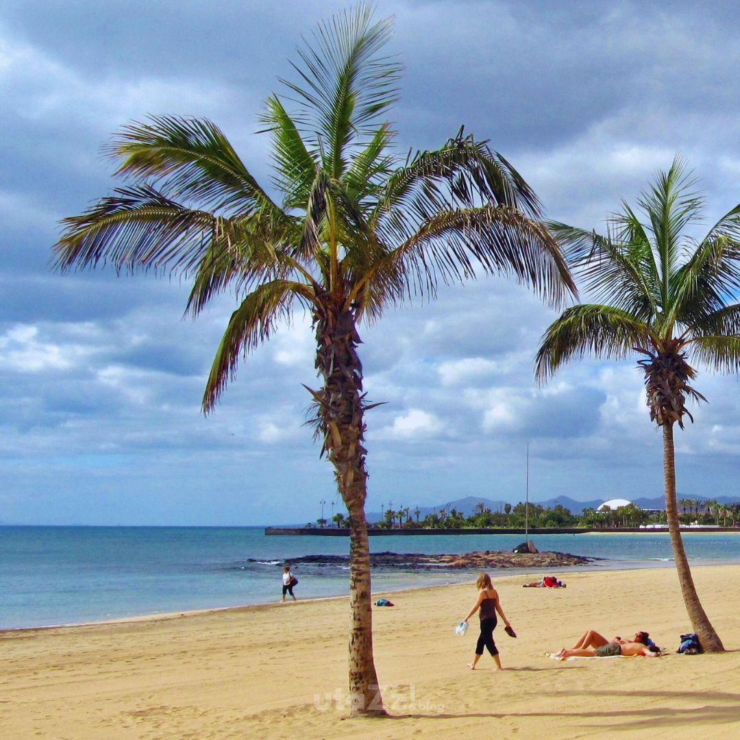 Palm Trees Beach