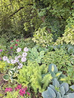 Shade garden bed with hostas, ferns, and pink flowers under leafy trees