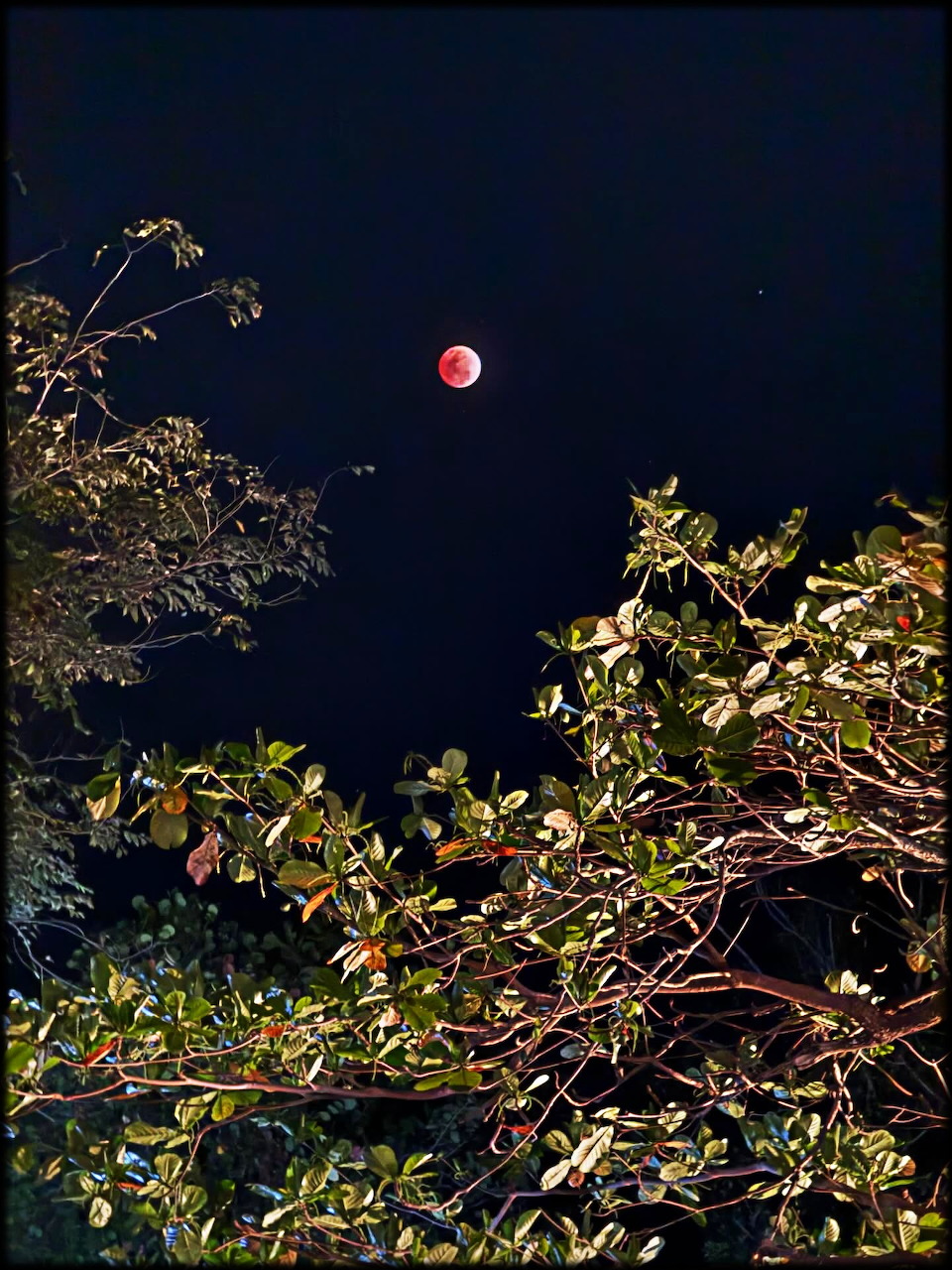 Reddish blood moon glowing in a dark night sky during a total lunar eclipse