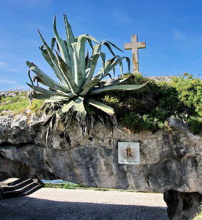 Agave Plant and Stone Cross