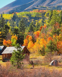 Wooden cabin nestled among colorful autumn trees with mountain backdrop