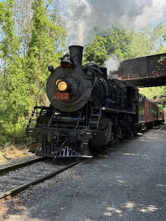 Steam Locomotive499