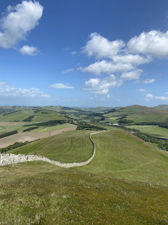 Cheviot Hills Landscape