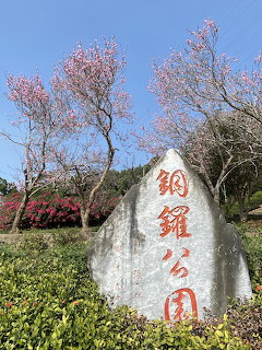 Stone monument with Chinese text at Tongluo Park entrance surrounded by pink cherry blossoms and azaleas