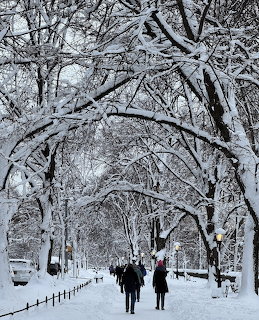 People walking under snow-laden tree branches on a path in Riverside Drive, New York City