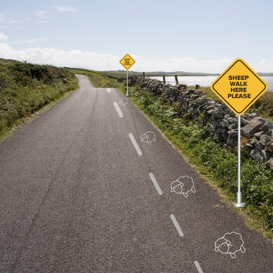 Rural road beside a stone wall with yellow sheep crossing signs near the water