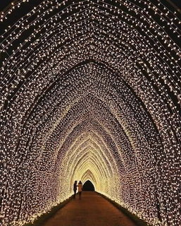 Light Tunnel Silhouettes