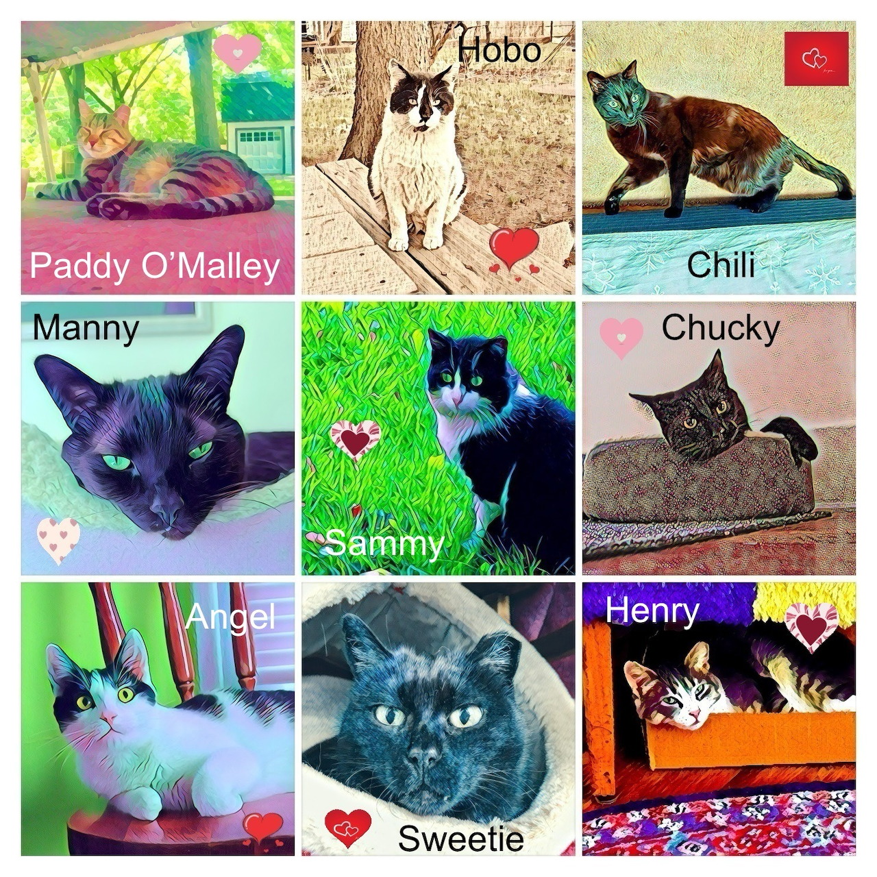 Grid collage of nine cat photos with names labeled in each panel, showing various cat breeds in different colorful settings