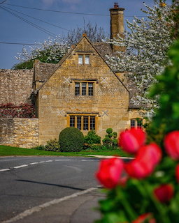 Golden stone cottage with windows, chimney, and flowering trees in spring