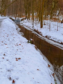 Winter Forest Stream