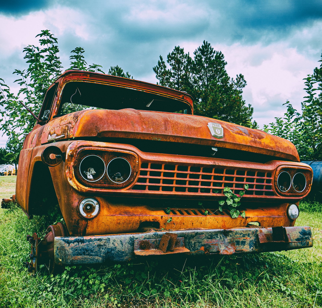 Rusty orange 1958 Ford truck abandoned in grassy field with cloudy sky
