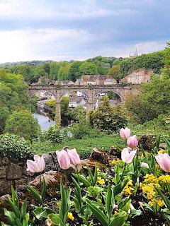 Knaresborough Viaduct arching over a river with pink tulips and greenery in the foreground