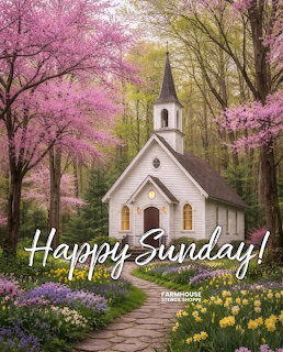 White country church with steeple surrounded by pink flowering trees and spring garden flowers