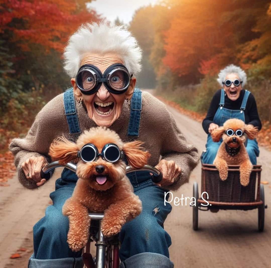 Elderly people with large goggles riding bikes with dogs on autumn road
