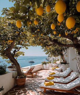 Lemon tree with ripe fruit overhanging a sunny coastal terrace with yellow loungers and sea view