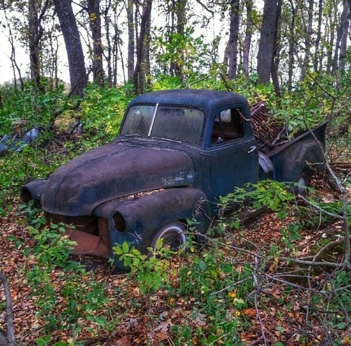 Old rusted car abandoned in a forest clearing surrounded by leaves and brush