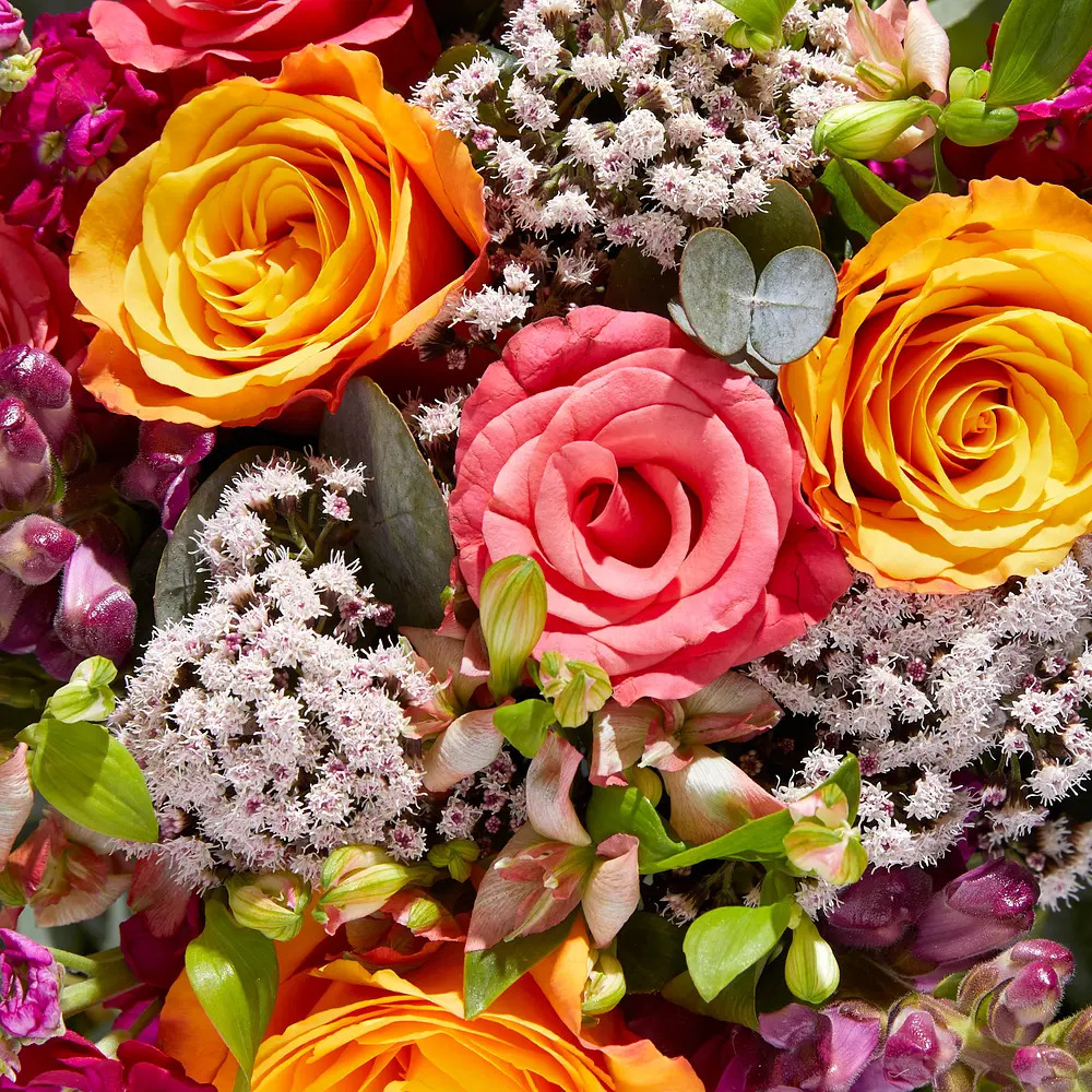 Close-up of a colorful bouquet with orange, pink, and red roses surrounded by white flowers and greenery