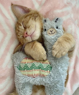 Sleeping Kitten Plush