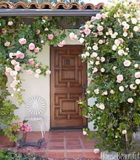 Wooden door with pink and white climbing roses on white wall and red tile entryway