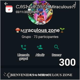 Screenshot of Miraculous Zone social group chat interface with 73 members