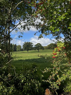 Green pastoral meadow with oak trees framed by leafy branches and red berries under blue sky