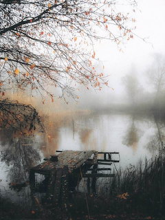 Fogy Autumn Lake Dock