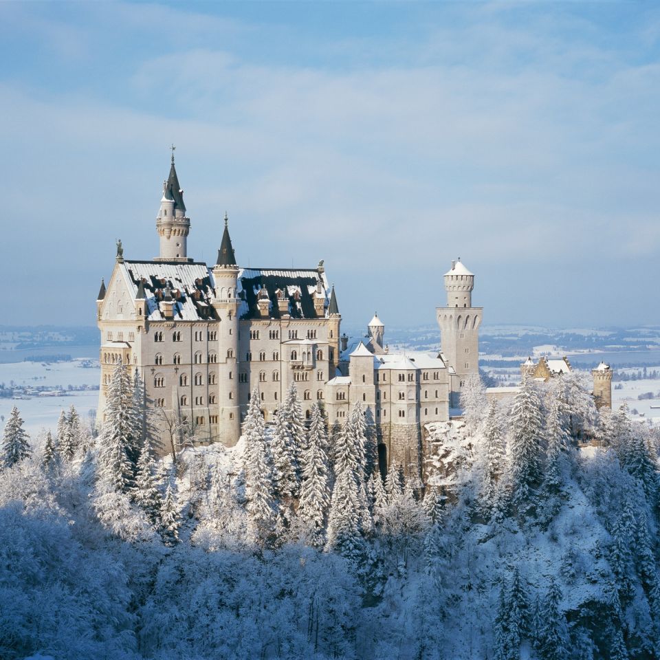 Neuschwanstein Castle covered in snow surrounded by frosted trees under blue sky
