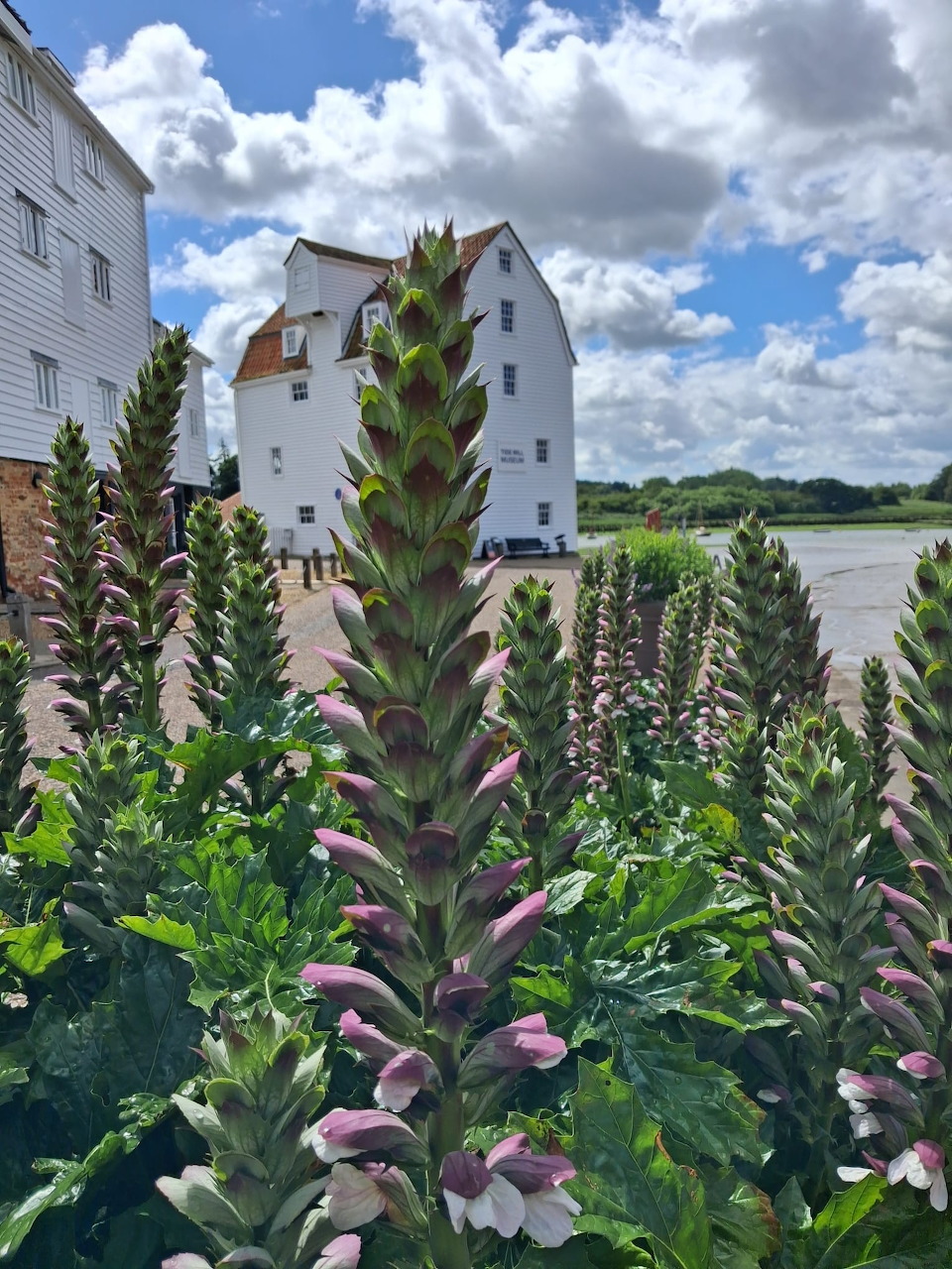 Woodbridge Tide Mill