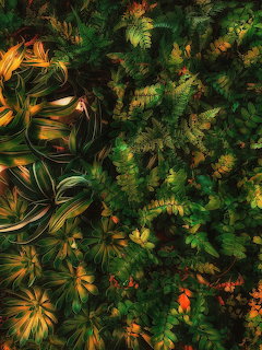 Lush Tropical Foliage Wall