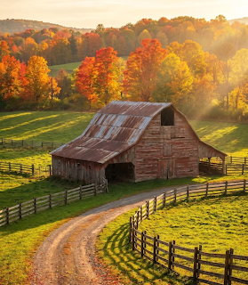 Old wooden barn on hillside with autumn trees and winding dirt road through fenced green fields at sunset