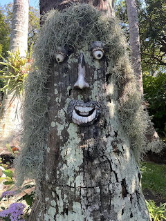 Tree trunk with a face sculpture made from objects and Spanish moss resembling hair in a garden