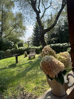 Garden Bench Hydrangeas
