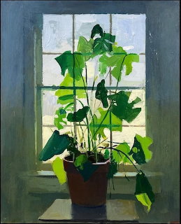 Potted Plant Window
