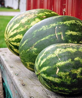 Watermelons on Wooden Table