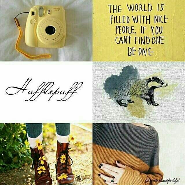 Six-image collage with a yellow camera, quote, signature, badger art, floral boots, and sweater sleeve