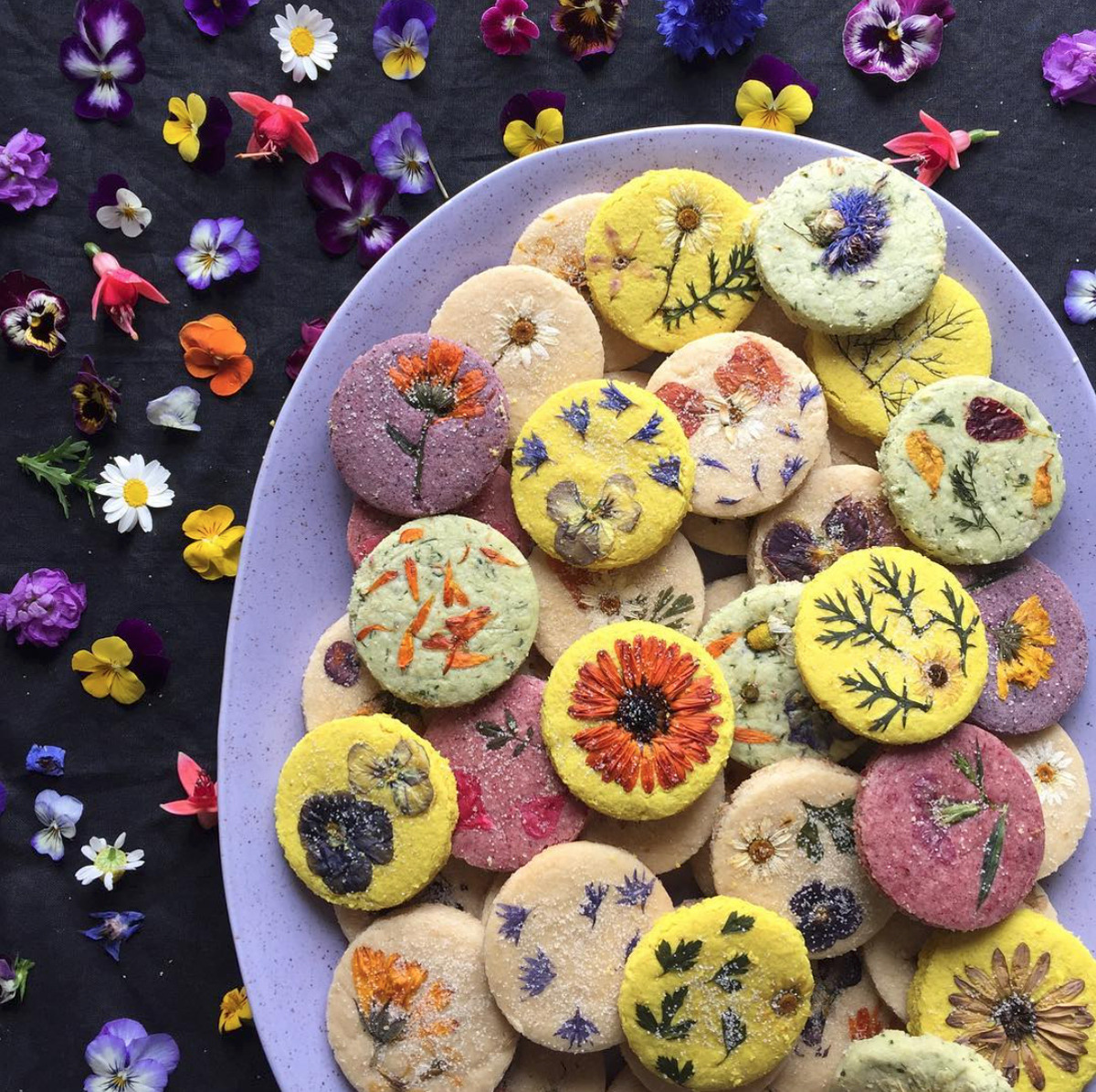 Round cookies decorated with colorful edible flowers on white plate with flower background