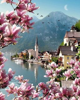 Pink magnolia flowers frame a lakeside alpine village with church and mountains