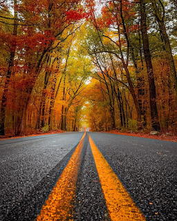 Paved road with double yellow lines leading through a colorful autumn forest canopy