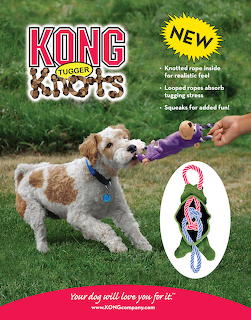 Dog Playing Tug Toy Outdoors