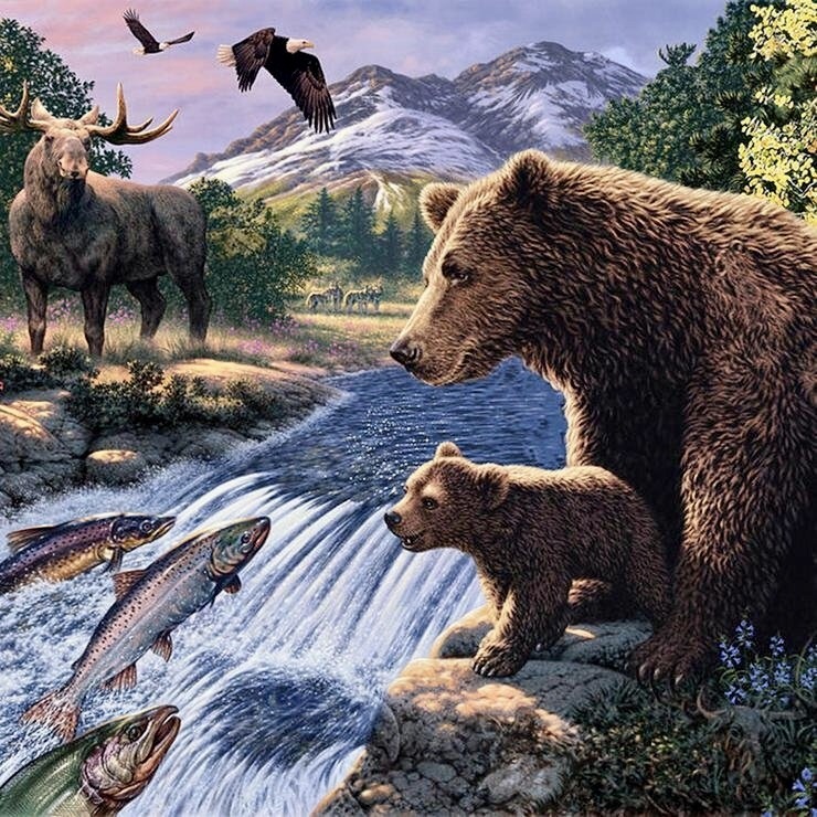 Grizzly bear and cub fishing salmon at waterfall in Alaskan mountain landscape with moose and eagles