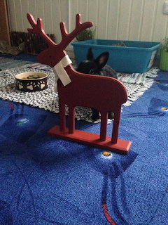 Red wooden reindeer figurine on blue carpet with a rabbit nearby indoors