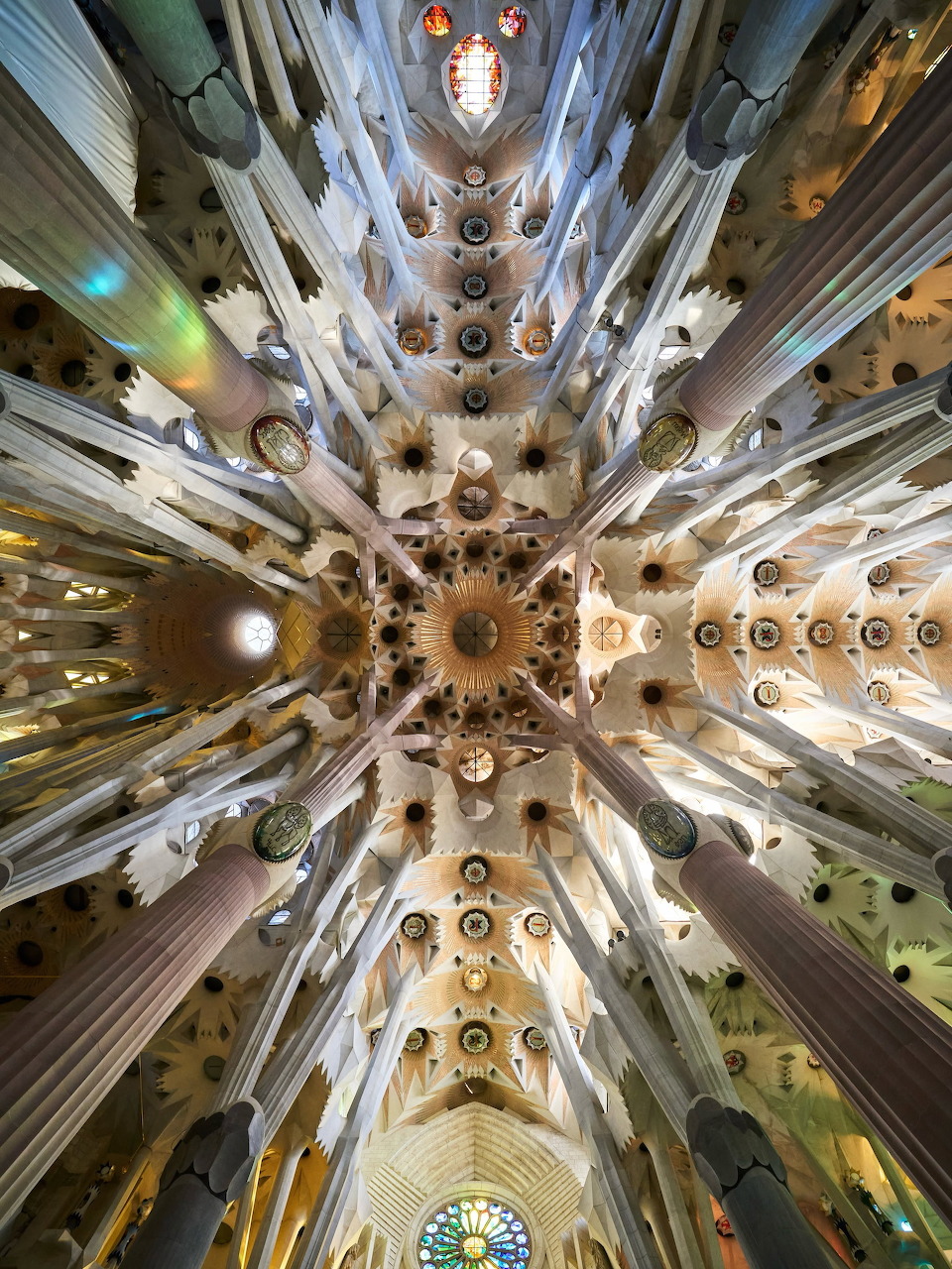Upward view of an ornate cathedral ceiling with tall columns and circular skylights