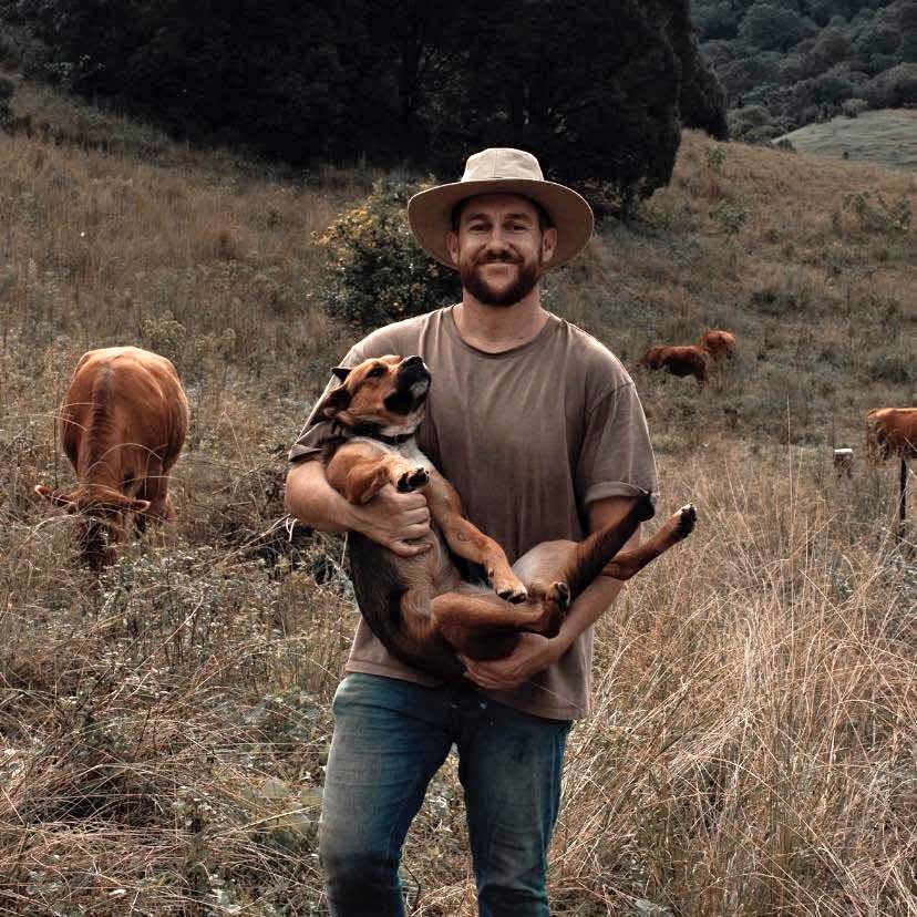 Man in hat holding small dog in grassy valley with cattle and hills behind