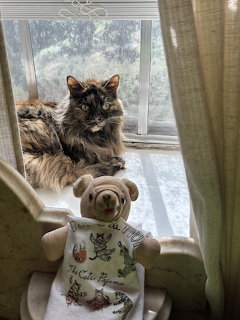 Tortoiseshell cat on windowsill with a stuffed bear toy in front, curtains and rainy window behind