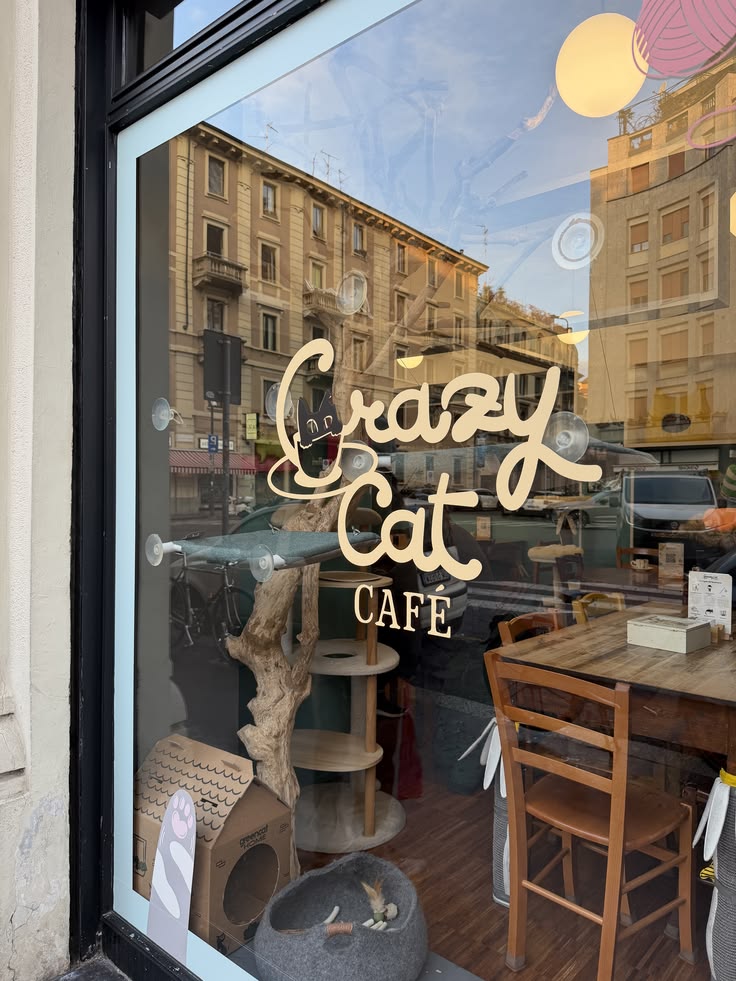 Crazy Cat Cafe