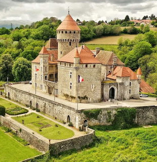 Medieval stone castle with round towers and red roofs on a green hillside