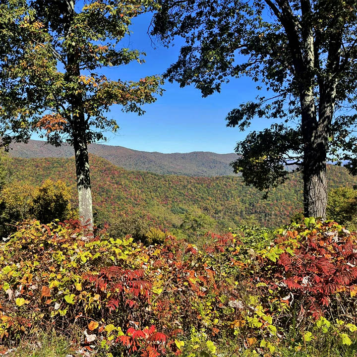 Autumn mountain vista framed by trees with colorful fall foliage in the foreground